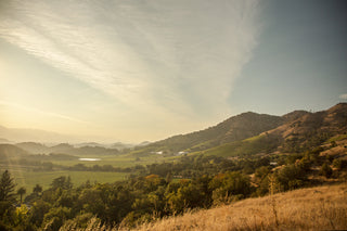 Stags Leap District Vineyards
