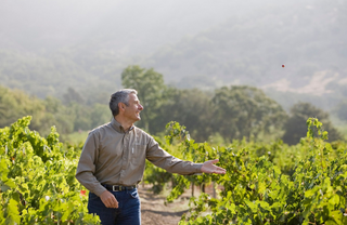 Exploring Our Oakville Cabernet Sauvignon