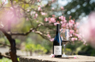 Stags' Leap wine bottle and glass with cherry blossoms in the background.