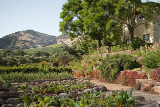 A Luxury Guide to Visiting the Estate