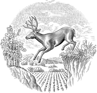 Summer Estate Newsletter June 25