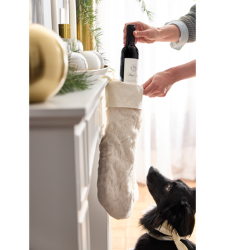 Person putting wine bottle in a holiday stocking with the black dog watching from below