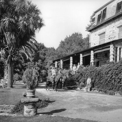 Stags' Leap Historic Photo: Horses Outside Manor House