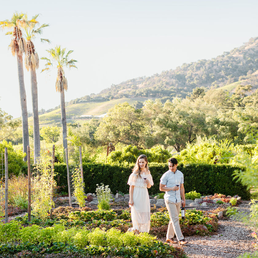 Winery gardens of Stags' Leap in Napa Valley