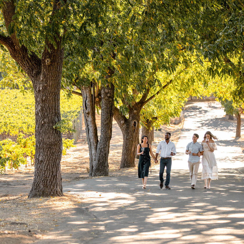 Guests Walking Next to Stags' Leap Vineyard