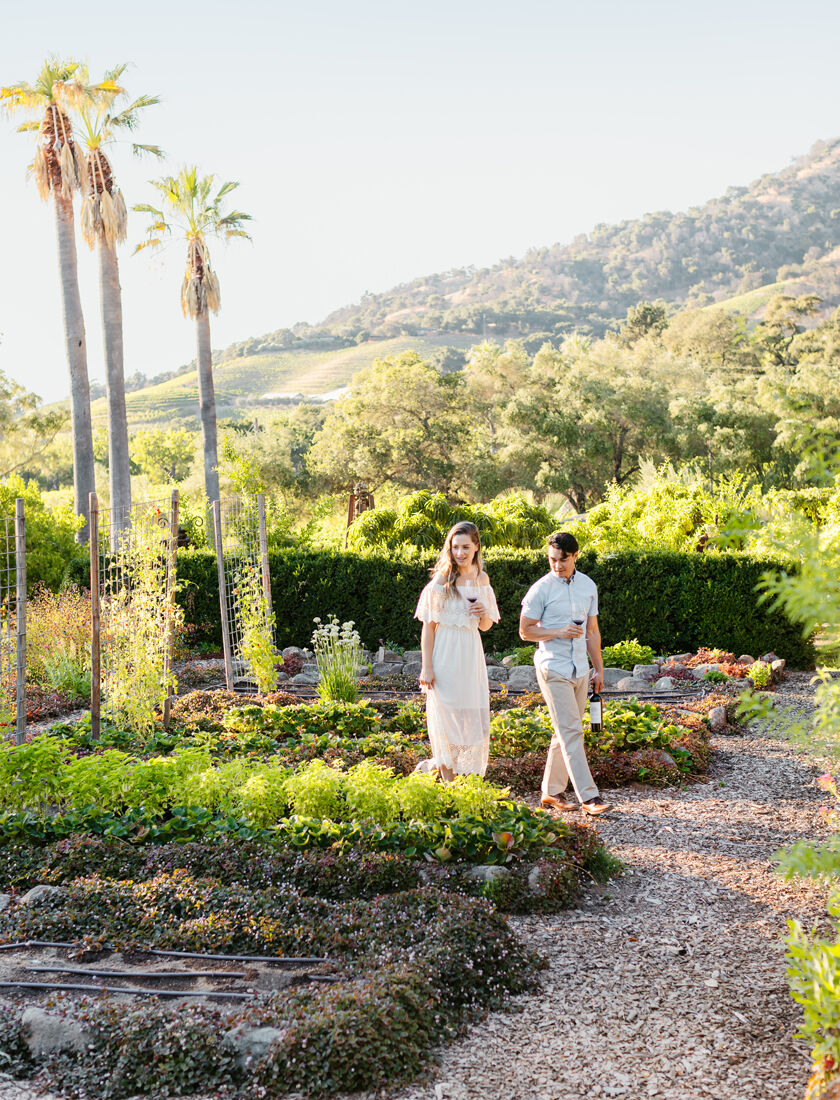 Winery Garden at Stags' Leap off Silverado Trail