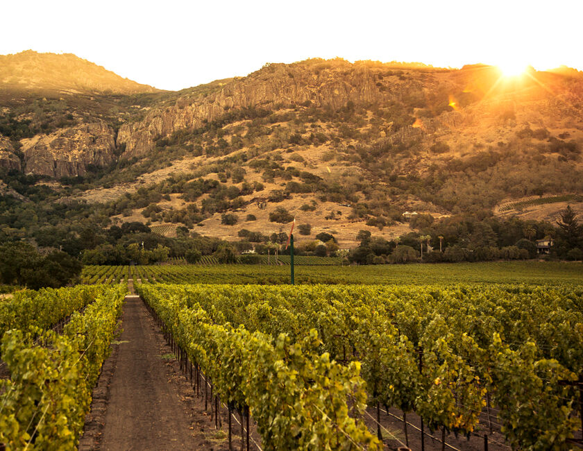 A woman and man walking through the gardens at Stags' Leap with a glass of wine in hand. 