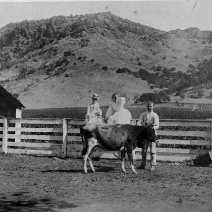 Stags' Leap Historic Photo: Family with Livestock on the Property