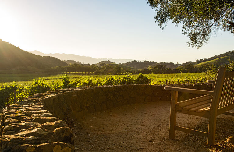 Stags' Leap Estate Vineyard in Napa Valley