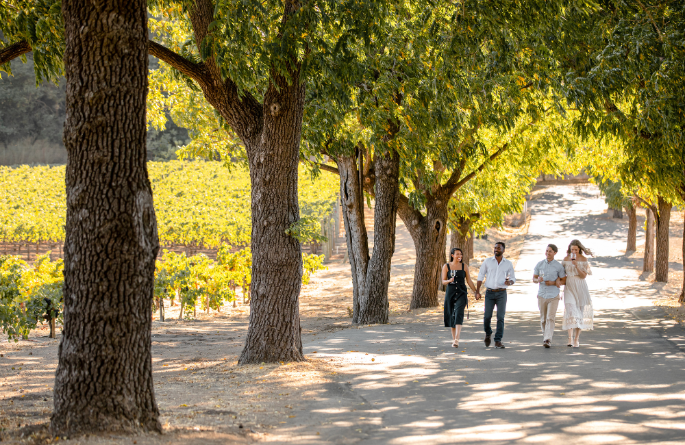 Stags' Leap Winery